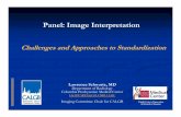 Panel: Image Interpretation Fi… · Image Interpretation Standardization CT o The need for standardization varies by imaging modality, technique and potentially MRI therapeutic option