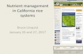 Nutrient management in California rice systemsrice.ucanr.edu/files/255595.pdf · 2017. 2. 1. · Rice Yield Contest: what have we learned? ... •Leaf-color chart •SPAD meter •Evaluating