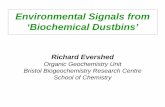 Environmental Signals from ‘Biochemical Dustbins’ · 2020. 7. 30. · Total soil bacterial PLFAs Bronydd Mawr NCaPK 0 2 4 6 8 10 12 a15:0 n16:0 br17:0 i17:0 a17:0 n17:0 n18:0