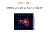 Introduction to Cell Biology - JU Medicine · (1.4) Viruses Viruses are pathogens. Viruses are intracellular obligate parasites. A virion is a virus particle outside the host cell.