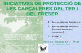 INICIATIVES DE PROTECCIÓ DE LES CAPÇALERES DEL TER I DEL …blogs.iec.cat/ichn/wp-content/uploads/sites/33/2013/10/... · 2013. 10. 30. · Pla de distribució de zones del territori