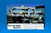 Sodium Salt Crystallization and Scaling Behavior · 2020. 12. 9. · Generally the crystallization of Na 2 SO 4 and Na 2 CO 3 doesn’t begin until the solution is supersaturated