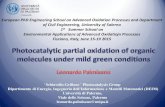 European PhD Engineering School on Advanced Oxidation … · G. Camera Roda, V. Augugliaro, V. Loddo, L. Palmisano, G. Palmisano Production of Aldehydes by Oxidation in Aqueous Medium