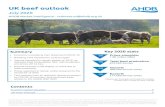 UK beef outlook - Microsoft...UK beef and veal production during Q1 totalled 235,900 tonnes, up 4% compared to the same period in 2019. This This was mostly due to higher slaughter