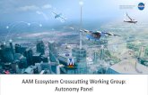 AAM Ecosystem Crosscutting Working Group: Autonomy Panel · 2020. 10. 16. · Dr. Ella Atkins is a Professor of Aerospace Engineering at the University of Michigan, where she directs