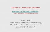 Master of Molecular Medicine - hu-berlin.debordyugov/tut/mmm2015/...Master of Molecular Medicine Module IV: Functional Genomics : RNA structure & gene prediction Uwe Ohler Berlin Institute