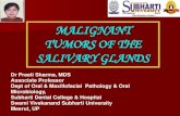 MALIGNANT TUMORS OF THE SALIVARY GLANDSdental.subharti.org/oral_path/e-lecturers/Dr Preeti...Adenoid cystic carcinoma (Cylindroma) Clinical features 50% in minor salivary glands Palate
