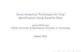 Some Analytical Techniques for Crop Identification Using Satellite … · 2016. 8. 26. · NRVI Normalised Ratio Vegetation Index RVI Ratio Vegetation Index SAVI Soil Adjusted Vegetation