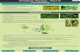 Kingdom Plantae - Part IV Pteridophyta · 2020. 8. 27. · Kingdom Plantae - Part V Gymnosperms Gymnosperms Unique Features • Wind is the major source of pollination • Length: