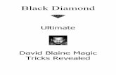 David Blaine's Magic Revealedvinit/folder/David Blaine Magic...The purpose of this text is not to abruptly reveal David’s tricks; any good magic fan will certainly be able to understand