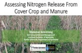 Assessing Nitrogen Release From Cover Crop and Manure...cahaba vetch, sunflowers, sunn hemp, yellow blossom sweet clover, crimson clover, sorghum-Sudan grass, purple top turnip, radish,