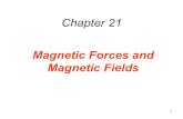 Magnetic Forces and Magnetic Fieldswoolf/2020_Jui/mar02.pdf · 2012. 3. 2. · 21.1 Magnetic Fields The magnetic field lines and pattern of iron filings in the vicinity of a bar magnet