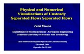 Physical and Numerical Visualizations of Unsteady ......unsteady turbulent flow past a high-lift airfoil. 8 Steady Attached vs. Unsteady Separated Flows ... Three-dimensional flow