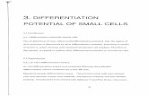 3. DIFFERENTIATIONstapcells.up.seesaa.net/image/Chapter3.pdf3. DIFFERENTIATION POTENTIAL OF SMALL CELLS 3.1 Introduction 3.1.1 Differentiation potential of stem cells One of definitions
