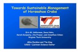 Towards Sustainable Management of Horseshoe Crabs · 2020. 12. 7. · If crab egg availability islimiting the red knot population, then: 1. Red knot habitat selection in Delaware