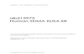 ab213973 Human SDMA ELISA kit - Abcam · ab213973 Human SDMA D ELISA kit 1 1. Overview The Human SDMA ELISA kit (ab213973) is intended for the quantitative determination of symmetric