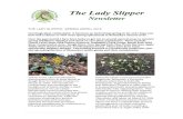 The Lady Slipper - Spring 2018THE LADY SLIPPER: SPRING (APRIL) 2018. Great trillium ( Trillium grandifolium ) should be in peak for Wildflower Weekend at Natural Bridge State Park.