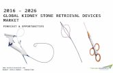 Kidney Stone Retrieval Devices Market Size, Share and Forecast 2026 | TechSci Research