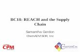 BC18: REACH and the Supply Chaindownload.101com.com/pub/cpm/files/BC18Gordon.pdf · 2008. 5. 6. · BC18: REACH and the Supply Chain Samantha Gordon ChemADVISOR, Inc