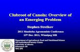 Clubroot of Canola: Overview of an Emerging Problem · 2020. 3. 2. · Clubroot of Canola: Overview of an Emerging Problem Stephen Strelkov 2011 Manitoba Agronomists Conference 13th