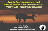 Quality Deer Management and Prescribed Fire – Natural ... files/presentations 2010/QDMA_BrianMurphy.pdfQDMA Mission “To ensure the future of white-tailed deer, wildlife habitat