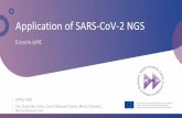 Application of SARS-CoV-2 NGS · 2020. 5. 8. · B.3 B.4 5.0E-5 • • • • Ongoing ... gadgi-Wuerttgnbgg-1_2020 EPI ISL 412912 2020-02-25 Kanagawa 1_2020 CPI ISL 402126 2020-01-14