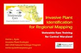 Invasive Plant Identification for Regional Mapping...Invasive Plant Identification for Regional Mapping Statewide Eyes Training for Central Maryland . Kerrie L. Kyde . Invasive Plant