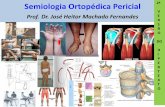 Semiologia Ortopédica Pericial - UFRGS · 2012. 1. 17. · 13- Tendinite bicipital (tendão da porção longa do bíceps braquial) Assuntos do Módulo 13 OMBROS - 2 14- Luxação
