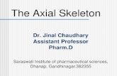 The Axial SkeletonThe Axial Skeleton Saraswati Institute of pharmaceutical sciences, Dhanap, Gandhinagar.382355 The Axial Skeleton Includes: Skull •Cranium •Face Hyoid bone Auditory