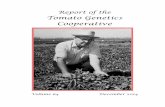 Tomato Genetics CooperativeGulf Coast Research and Education Center 14625 County Road 672 Wimauma, FL 33598 USA Foreword The Tomato Genetics Cooperative, initiated in 1951, is a …