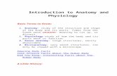iteachbio.comiteachbio.com/Anatomy-Physiology/Intro to Anatomy and...  · Web view2012. 9. 5. · Introduction to Anatomy and Physiology. Basic Terms to Know: 1. Anatomy-study of