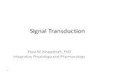 Signal Transduction - Doctor 2019 - Lejan JU · 2020. 3. 19. · Signal Transduction (Regulation of cellular machinery) Extracellular regulators: nervous, endocrine, paracrine and