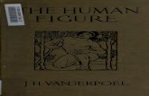 The human figure - Internet Archive...CONTENTS PAGE Dedication 4 DrawingtheHumanFigure—Author'sPrefaceand AdvicetotheStudent 5 CHAPTER I. TheEyes 19 CHAPTERII. TheNose 31 Student'sNotes