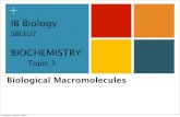 IB Biology...IB Biology SBI3U7 BIOCHEMISTRY Topic 3 Biological Macromolecules Thursday, October 4, 2012 1.What are the 4 main types of biological macromolecules and …