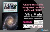 Kathryn Grasha - Colloquia and Special Seminars · 2018. 9. 17. · Katie Grasha 13 Characterize the correlations of gas & star clusters: essential to place more stringent constraints