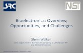 Bioelectronics: Overview, Opportunities, and ChallengesBioelectronics Roundtable * November 4, 2008 Working Definition Bioelectronics encompasses a range of topics at the interface