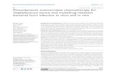 Photodynamic antimicrobial chemotherapy for ......email wangpan@snnu.edu.cn; xcshan@163.com Journal name: International Journal of Nanomedicine Article Designation: Original Research