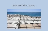 Suffolk Public Schools Blog - Salt and the Oceanblogs.spsk12.net/7925/files/2014/08/Salt-and-the-Ocean.pdf · 2017. 1. 18. · To Salinity and Beyond! • Salinity in the ocean is