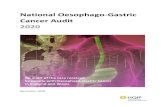 National Oesophago-Gastric Cancer Audit 2020...National Oesophago-Gastric Cancer Audit 2020 December 2020 An audit of the care received by people with Oesophago-Gastric Cancer in England
