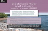 Blackmore river and estuary report card 2009 · 2018. 10. 5. · Blackmore River and estuary Blackmore River and estuary report card 2009 Water quality at the upper estuary monitoring
