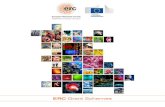 ERC Grant Schemes - EURAXESS · Calls for proposals for the ERC grant schemes are published on the ERC website, the Horizon 2020 Funding & Tender Opportunities Portal and in the Official