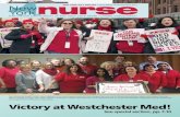 New York CitY editioN | December 2016/january 2017 New York · 2017. 1. 7. · Newnurse York the official publication of the new york state nurses association New York CitY editioN