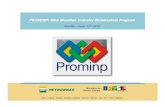 PROMINP- O&G Brazilian Industry Mobilization Programmdic.gov.br/sistemas_web/renai/public/arquivo/arq1274106807.pdf · Prominp Projects Portfolio CHALLENGE Maximize Local Content