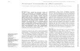 N-hexane neuropathy in offset printers58ournalofNeurology, Neurosurgery, andPsychiatry 1993;56:538-542 N-hexaneneuropathyin offsetprinters CMChang,CWYu,KYFong,SYLeung,TWTsin,YLYu,TFCheung,SYChan