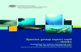 Species group report card —sharksSpecies group report card —sharks Supporting the marine bioregional plan for the South-west Marine Region prepared under the Environment Protection