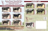 Simpson Angus Ranchsimpsonangusranch.com/documents/pdf/2017/simpson angus... · 2019. 12. 11. · Now selling 38 Registered Angus Bulls Starting at $1,750 and UP Fertility-tested
