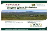 Kings River Heights Cattle Ranch - Pearson Realty · Kings River Heights Cattle Ranch 500.00± Acres Fresno County, California • One spring & watering troughs • Commercial Pasture