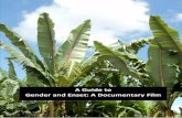 A Guide to Gender and Enset: A Documentary Film€¦ · University PhD students with expertise in visual methods and gender studies, interning in Ethiopia with PHMIL Project in 2011.