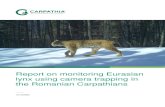 Report on monitoring Eurasian lynx using ... - Carpathia...Lynx report FOUNDATION CONSERVATION CARPATHIA 7 Chapter 2 Study area The study area is situated in the Southern Carpathians,