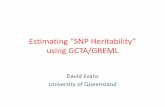 Estimating “SNP Heritability” using GCTA/GREMLibg.colorado.edu/cdrom2016/evans/GCTA/GCTA_2016.pdfDavid Evans University of Queensland. Behavior Genetics Meeting Brisbane 2016 View